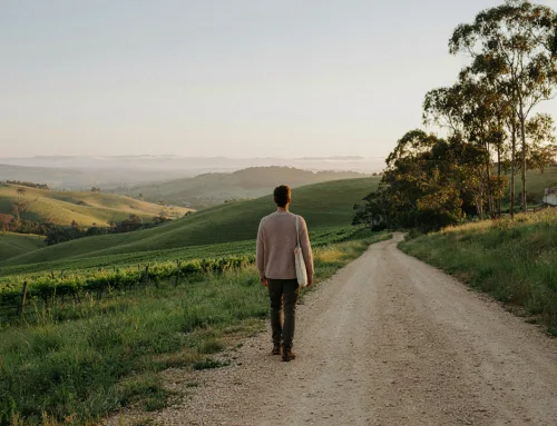 How Can PTSD Therapy in Adelaide Hills Help Me Heal from Trauma?